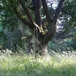 Laguna Kompleks Wypoczynkowo Rekreacyjny * Mrzeżyno