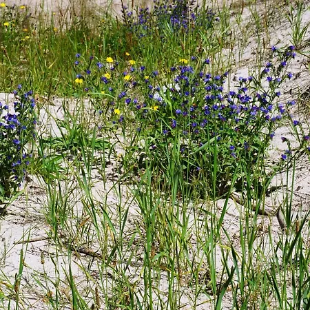 Laguna Kompleks Wypoczynkowo Rekreacyjny