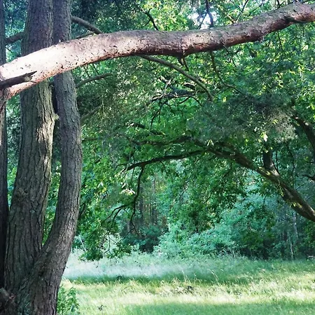 Laguna Kompleks Wypoczynkowo Rekreacyjny * Treptower Deep