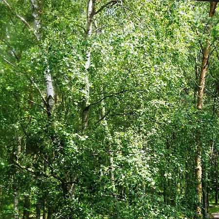 Hotel Laguna Kompleks Wypoczynkowo Rekreacyjny *