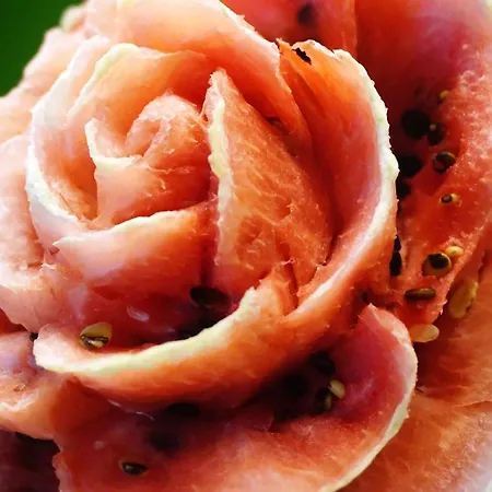 Laguna Kompleks Wypoczynkowo Rekreacyjny * Treptower Deep