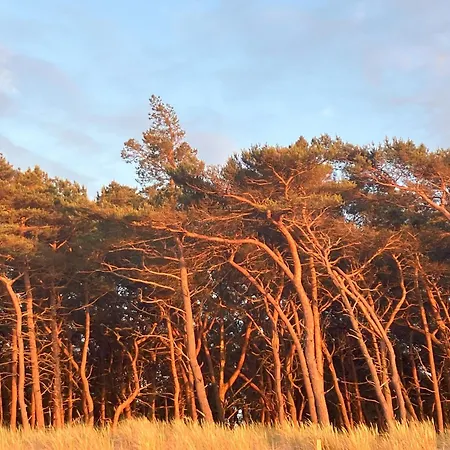 Hotel Laguna Kompleks Wypoczynkowo Rekreacyjny *